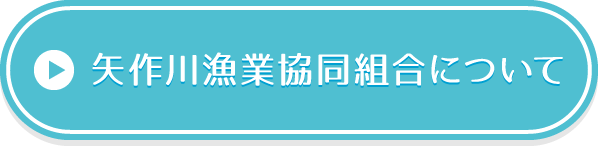 豊田市 矢作川漁業協同組合ホームページ 矢作川漁業協同組合